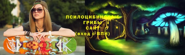 соль курить ск Белокуриха