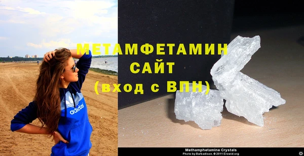 прущие грибы Сафоново
