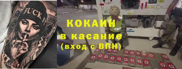 индика Саяногорск
